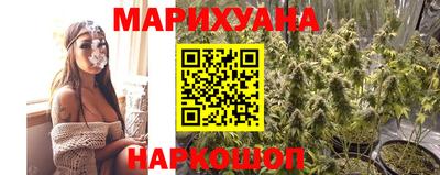 гашик Кунгур