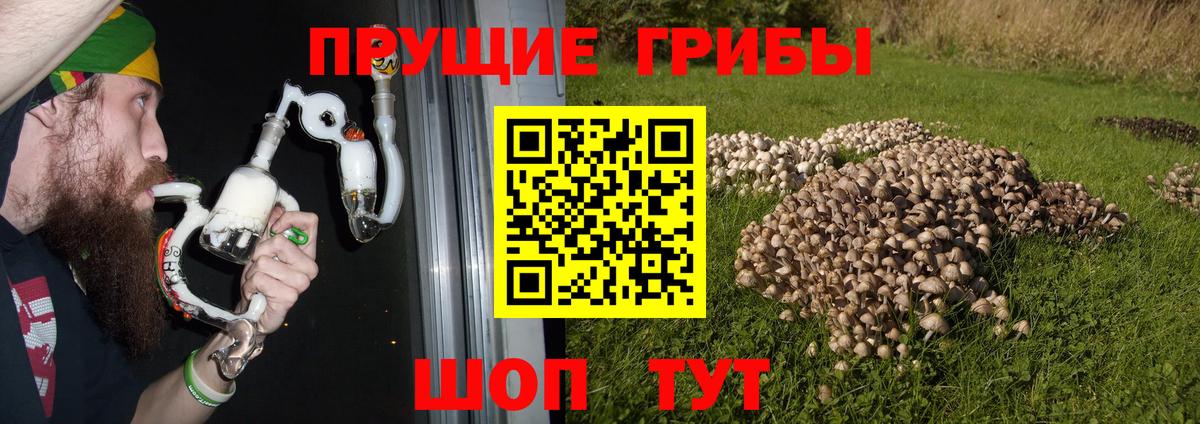 Железноводск  Галлюциногенные грибы Cubensis  Галлюциногенные грибы ЛСД  Вход с VPN 